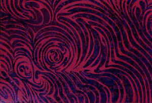tr2.jpg (100328 byte)